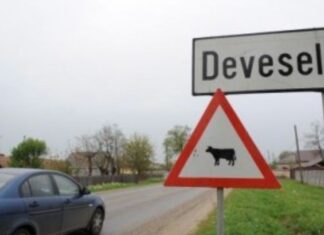 INEDIT. Curtea de Conturi Olt laudă Primăria Deveselu