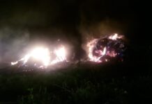 Furaje incendiate la Alimănești