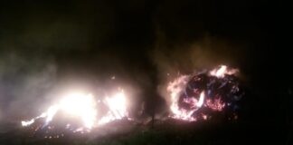 Furaje incendiate la Alimănești