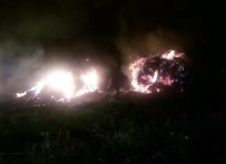 Furaje incendiate la Alimănești