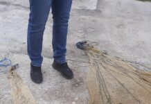 Prinși la pescuit fără autorizație