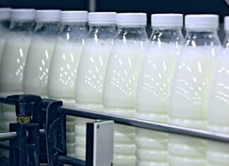 Olt: În comuna Mihăeşti se ridică prima fabrică de procesare a laptelui