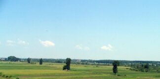 Bani pentru lucrările de cadastru general. Lista primăriilor din Olt care au solicitat finanţare