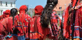 Ziua internaţională a rromilor, sărbătorită la Liceul Tehnologic Drăgănești Olt