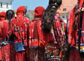 Ziua internaţională a rromilor, sărbătorită la Liceul Tehnologic Drăgănești Olt