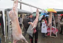 Abatoare autorizate la Scornicești și Potcoava, pentru sacrificarea mieilor