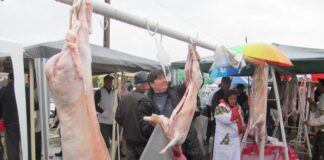 CENTRUL DE SACRIFICARE A MIEILOR ÎN TÂRGUL DIN OSICA DE SUS, AVIZAT DE DSVSA OLT