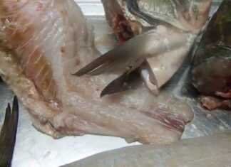 Zeci de kilograme de peşte, confiscat de inspectorii sanitari veterinari din Olt