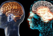 Băutura care menține creierul în formă. Mai ceva ca lecitina