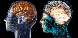 Băutura care crește eficiența creierului și amână îmbătrânirea!