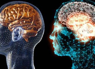 Băutura care menține creierul în formă. Mai ceva ca lecitina