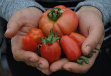 O afacere ca la carte: ”Ieși pe profit în fiecare an dacă muncești!”