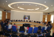 Proiecte importante pentru județ, votate în Consiliul Județean Olt