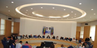 Proiecte importante pentru județ, votate în Consiliul Județean Olt