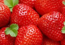 Aşa se prepară vinul de căpsuni. Efectele asupra sănătăţii sunt uimitoare