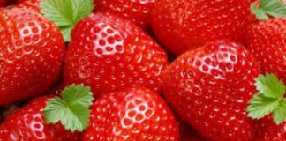 Aşa se prepară vinul de căpsuni. Efectele asupra sănătăţii sunt uimitoare