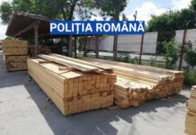 Au încălcat legislația din domeniul silvic