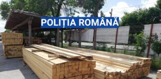 Au încălcat legislația din domeniul silvic