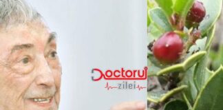 ”Atenție la aceste plante, pot favoriza apariția cancerului colorectal”