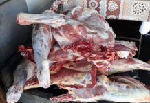 250 kg de carne confiscate