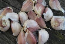 Usturoiul face minuni în organism