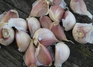 Usturoiul face minuni în organism