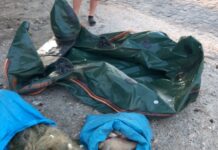 Doi braconieri piscicoli din Olt au căzut în plasa oamenilor legii