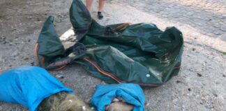 Doi braconieri piscicoli din Olt au căzut în plasa oamenilor legii