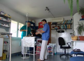 Topul celor mai tari firme veterinare din Olt