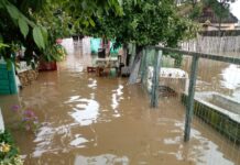 Gospodării inundate în urma ploilor