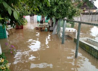 Gospodării inundate în urma ploilor