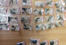 Urmărit internațional, găsit la Caracal