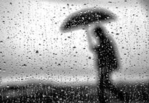 Curți inundate în urma ploilor