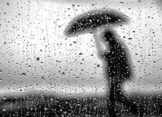 Curți inundate în urma ploilor