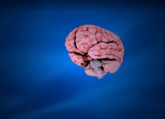 Dacă ai trecut de vârsta asta, creierul tău nu mai produce neuroni