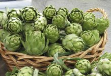 Planta care îți protejează inima și-ți curăță ficatul și bila