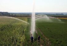 ANIF Olt face angajări