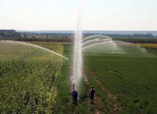 ANIF Olt face angajări
