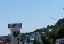 Cabaline scoase la vânzare de Serviciul public de gestionare a câinilor fără stăpân Slatina