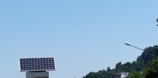 VIDEO: Slatina. Caii și vacile te întâmpină la intrarea în oraș