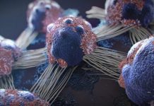 Băuturile care cresc riscul de a te îmbolnăvi de cancer. Consumul lor regulat este devastator pentru organism