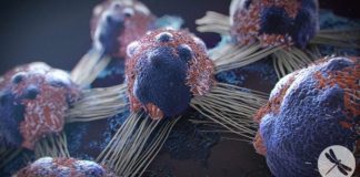 Băuturile care cresc riscul de a te îmbolnăvi de cancer. Consumul lor regulat este devastator pentru organism