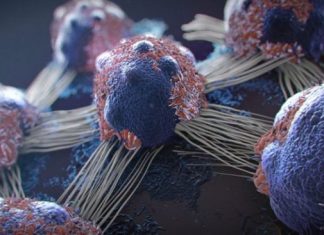 Băuturile care cresc riscul de a te îmbolnăvi de cancer. Consumul lor regulat este devastator pentru organism