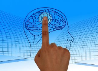 Gimnastica creierului. Cum îl menții alert cât mai mulți ani