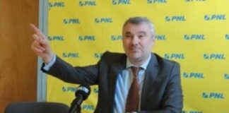 Știrbu: Daniel Breaz este terminatorul culturii