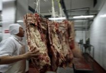 Secretele cărnii de porc – Cât de sănătoasă este pentru copii