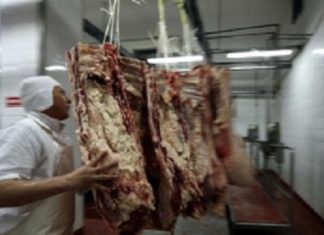 Secretele cărnii de porc – Cât de sănătoasă este pentru copii