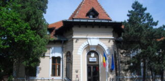 Cele mai tari firme de consultanță în afaceri și management din Olt