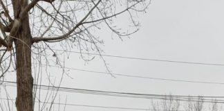 CARAVANA CULTURALĂ A ROMILOR 2019 CONTINUĂ ÎN JUDEŢUL OLT