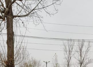 CARAVANA CULTURALĂ A ROMILOR 2019 CONTINUĂ ÎN JUDEŢUL OLT